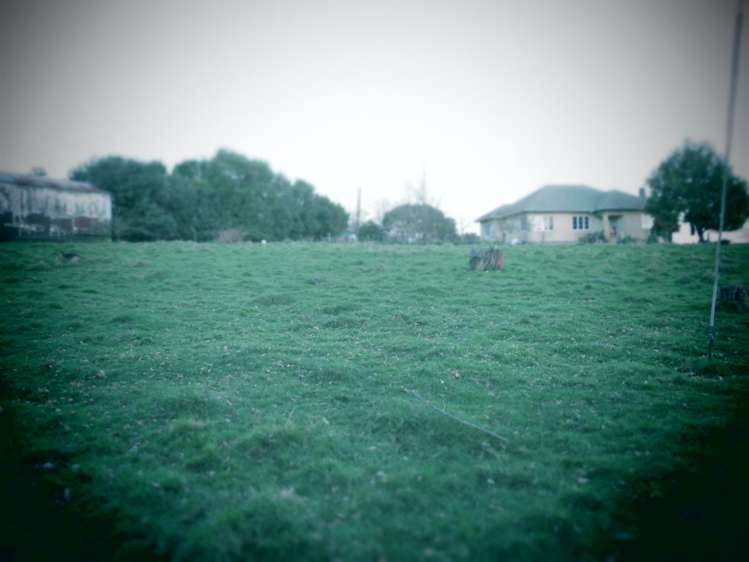 866 Bond Road Te Awamutu_10