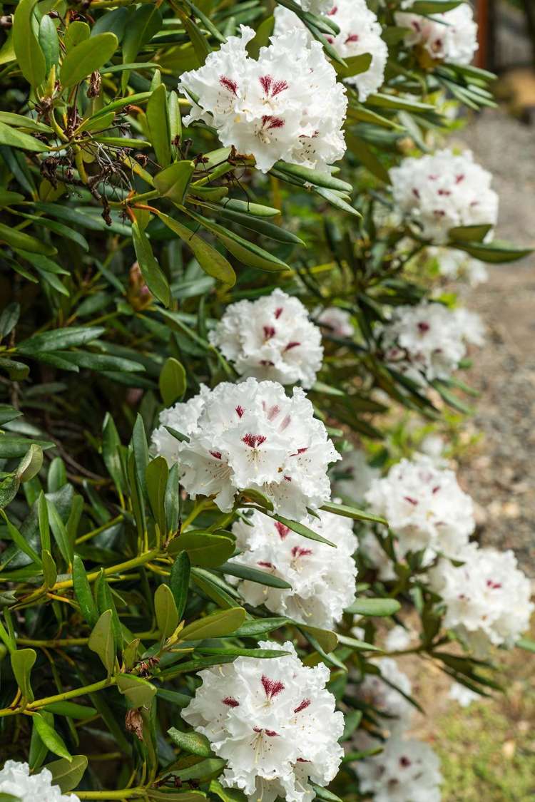 1849 Manawahe Road Manawahe_47