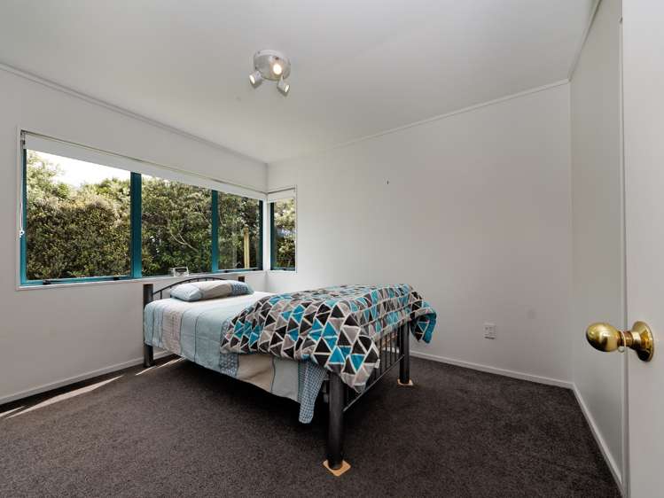 123 Piha Road Piha_17