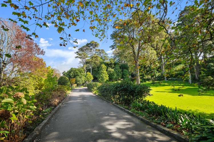 4C/75 Owens Road Epsom_29