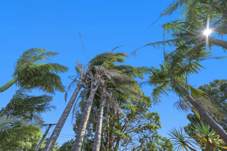 18 Alberta Street Point Chevalier_13