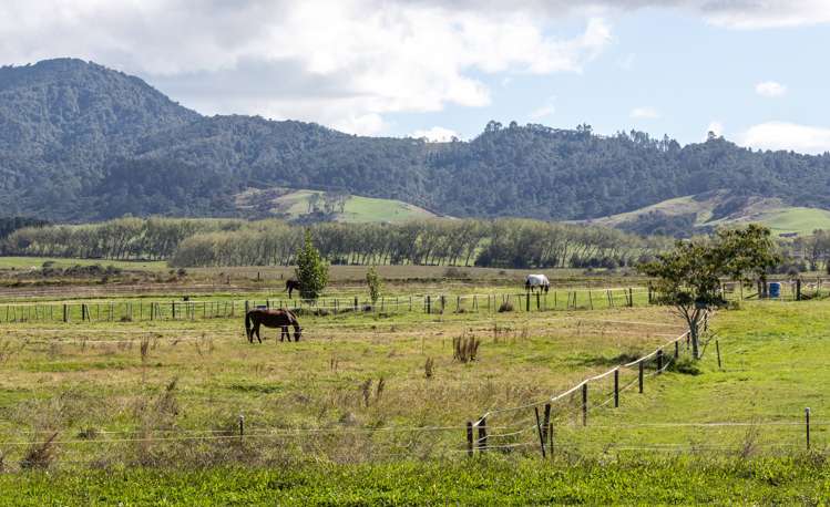 11 Hapuakohe Road Tahuna_8