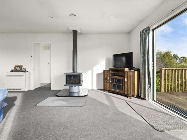 71 Ronaldsay Street Palmerston_4