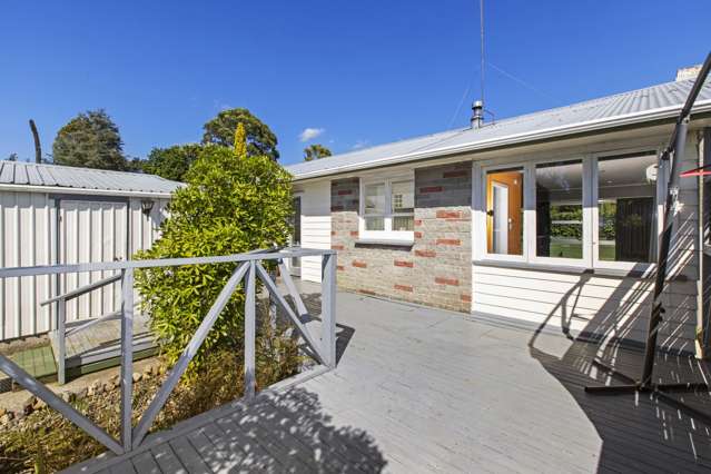 73 Dunlop Road Te Puke_3