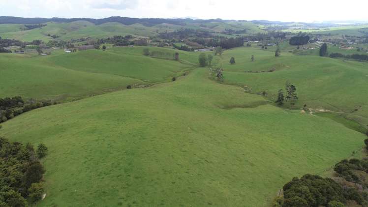 807 Puketona Road Haruru_0