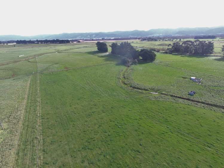 2246 Kahutara Road Kahutara_9