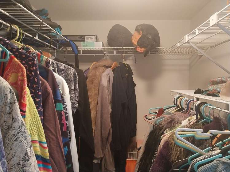 5/114 Mitchell Street Brooklyn_12