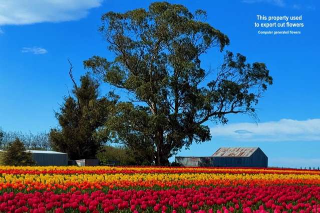 Willowbridge Road Waimate_1