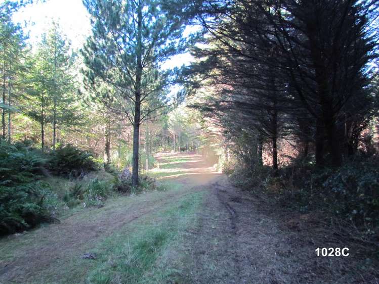 1028 A,B,C McIvor Road Rotoma_20