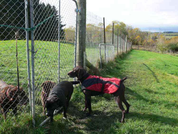 746 Clutha River Road Rongahere_5