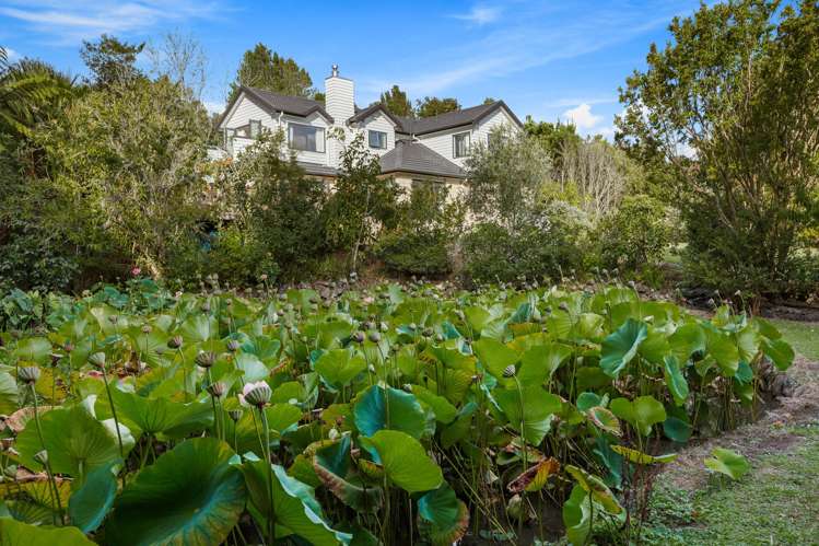 45 Chester Avenue Greenhithe_5