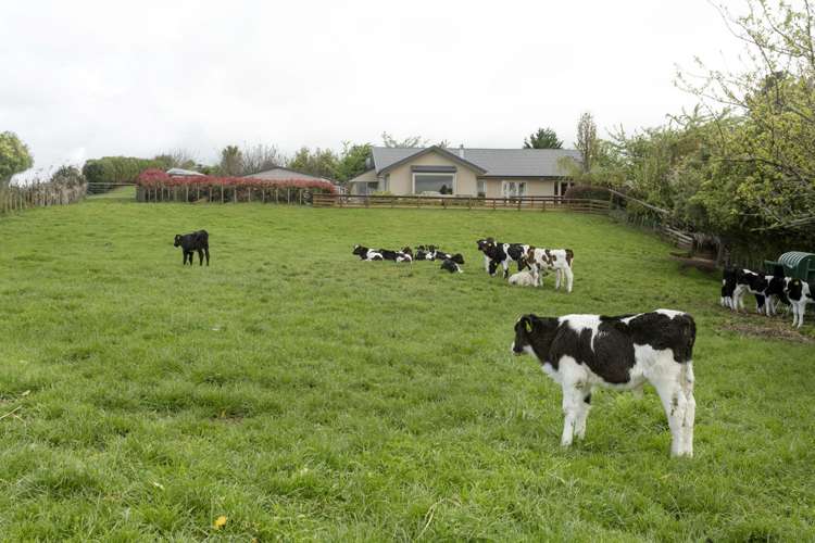 64 Oak Drive Wairakei and Surrounds_18
