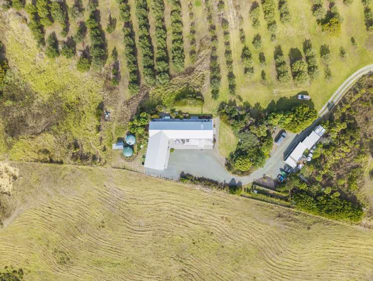 241D Heatley Road Whakapirau_19