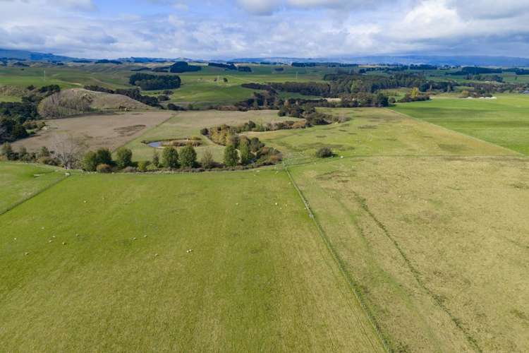 620 Taonui Road Colyton_5