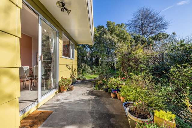 18 Bloomfield Street Leithfield_1