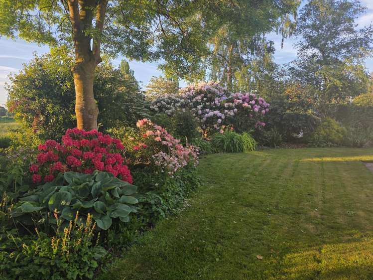 32 Harrison Road Winchester_2