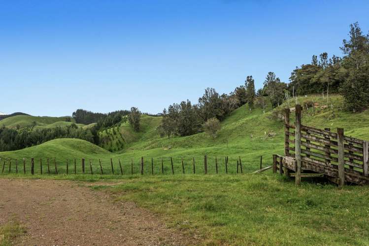 26 Settlement Road Pikowai_5