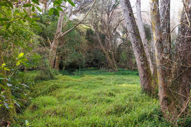 95 Pahiatua Aokautere Road Aokautere_4