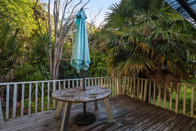 449 Kauaeranga Valley Rd Thames_2