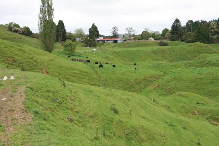 200 Tahora Road Tahora_11