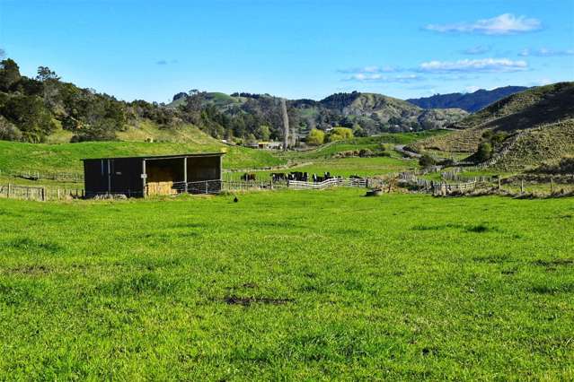 Lot 5/80 Ruatuna Road Waiotahi_4