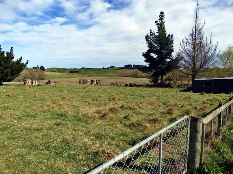 Koi Flat Road Clutha_3