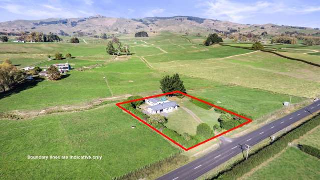 273 Chepmell Road Morrinsville_4