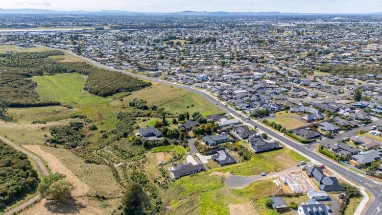 226A Baverstock Road Grandview Heights_23