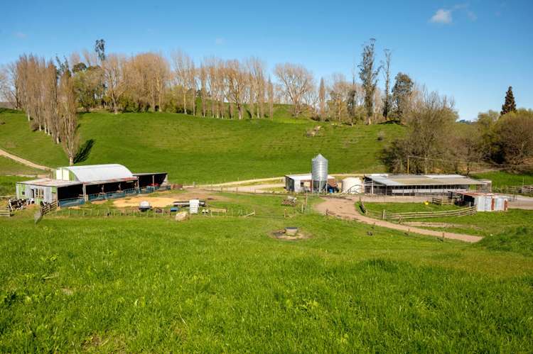 145 Totara Road Ngakuru_11