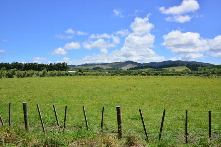 464 Woodcocks Road Warkworth_11