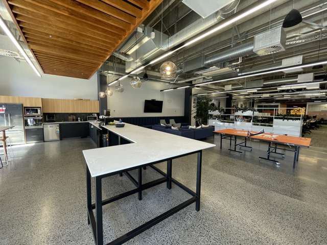 22 Pollen Street Grey Lynn_4