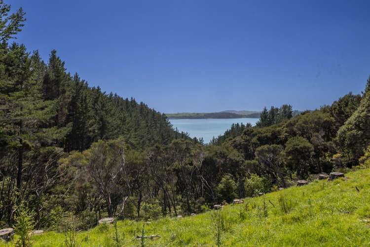 Lot 2,/127 Rangitane Road Kerikeri_11