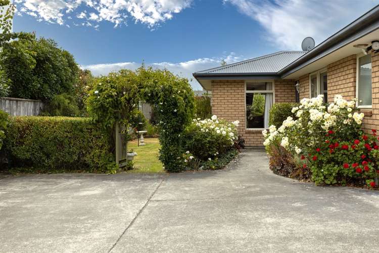 7a Ida Street Redwoodtown_16