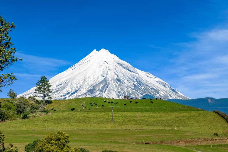 0n Frankley Road Hurworth_13