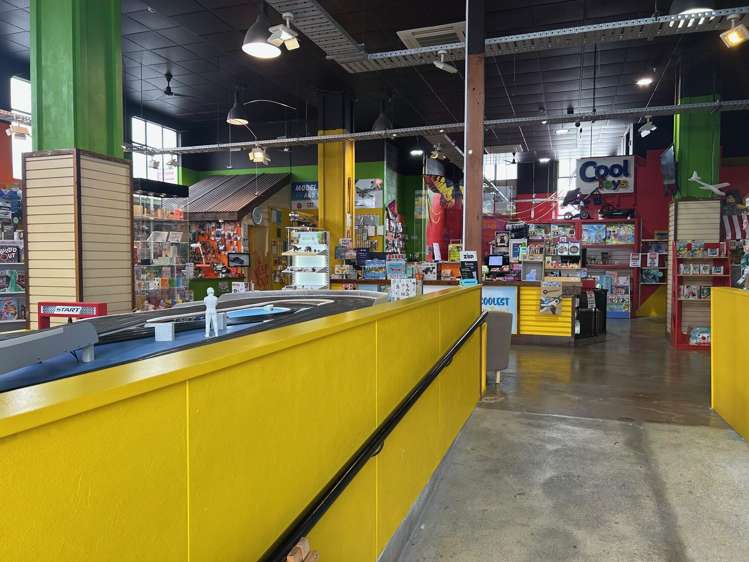 105 Dickens Street Napier Cbd_1