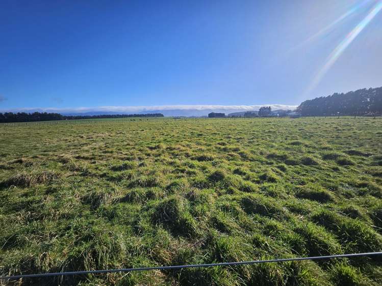 35 Laws Road Dannevirke_22