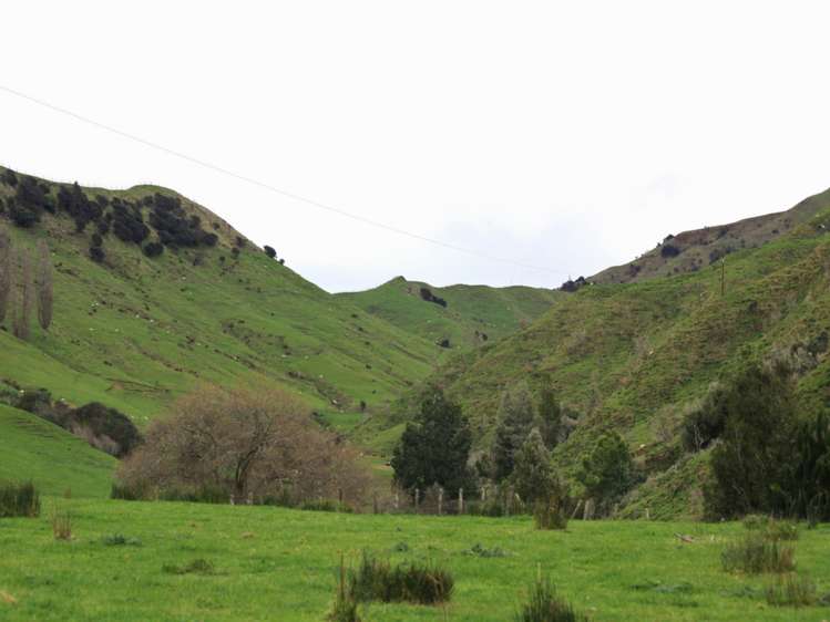 166 Saddler Road Ruapehu_8