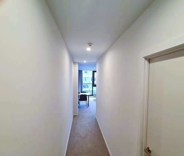 123 Taranaki Street Te Aro_4