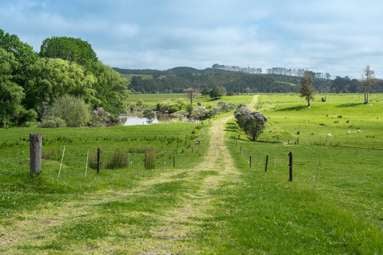 Farm 1 Pukehuia Road_4