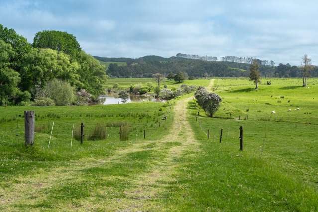 Farm 1 Pukehuia Road Tangiteroria_4