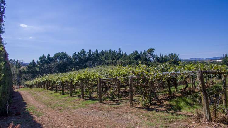 159 Plantation Road Rangiriri_5