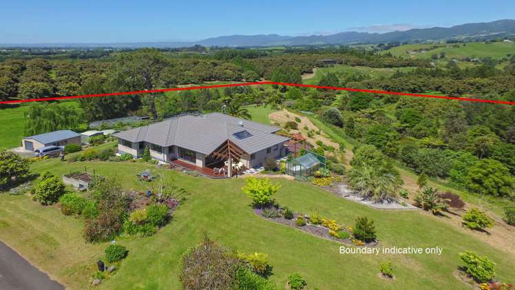 53d Woodland Road Hauraki Surrounds_0