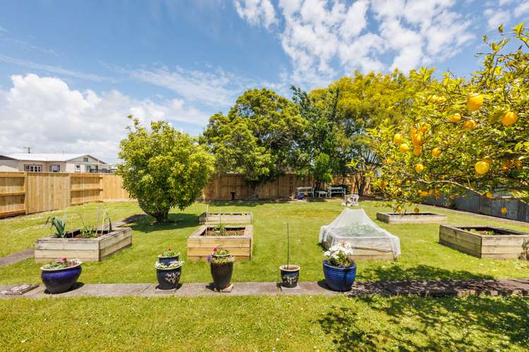 191 South Street Feilding_22