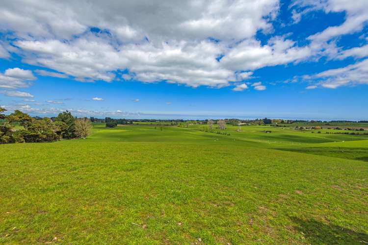 74 Galpins Road Marton_12