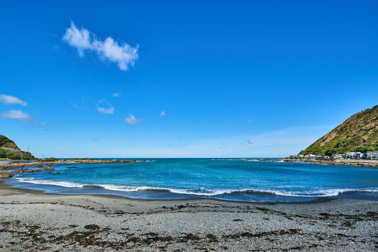 4/48 Owhiro Bay Parade Owhiro Bay_3