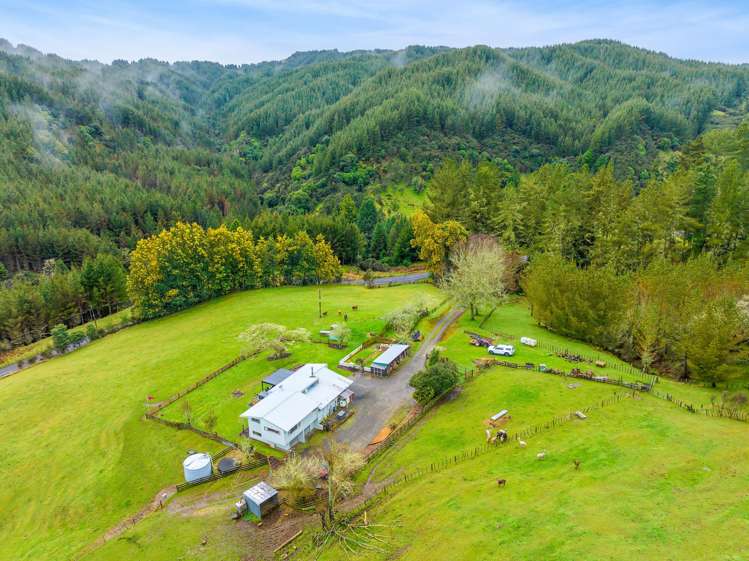 795 Oio Road Owhango_21