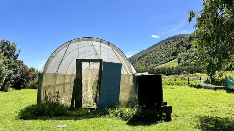 37 Nikau Road, State Highway 67 Hector_8