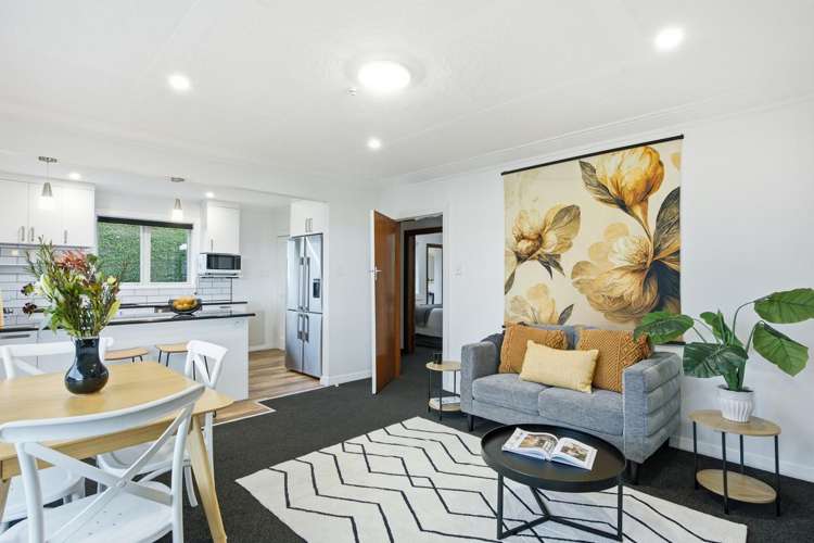 21 Spottiswoode Street Andersons Bay_7