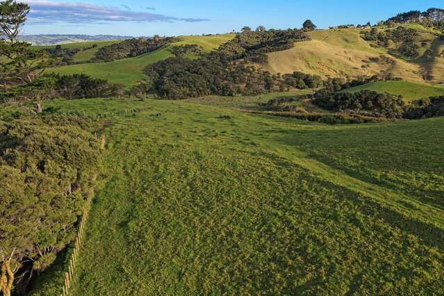 511 Fordyce Road Helensville_4