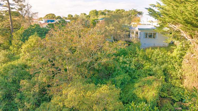 26 Plunket Street Durie Hill_15